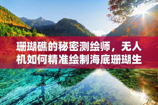 珊瑚礁的秘密测绘师，无人机如何精准绘制海底珊瑚生态图？