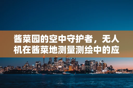 酱菜园的空中守护者，无人机在酱菜地测量测绘中的应用挑战