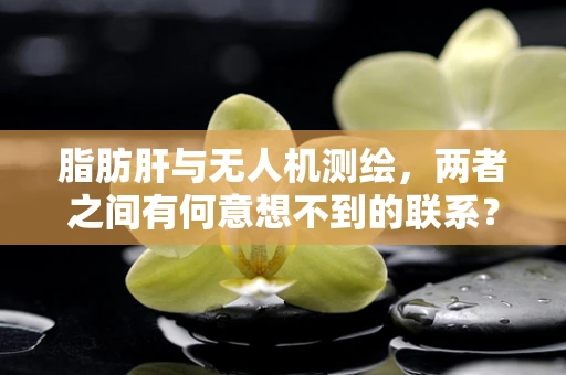 脂肪肝与无人机测绘，两者之间有何意想不到的联系？