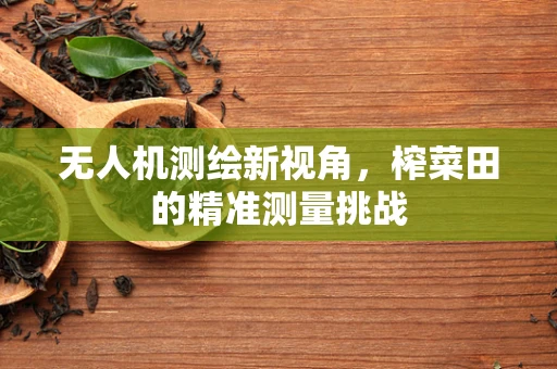 无人机测绘新视角，榨菜田的精准测量挑战
