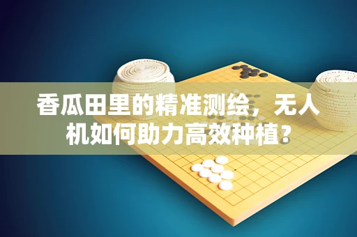 香瓜田里的精准测绘，无人机如何助力高效种植？