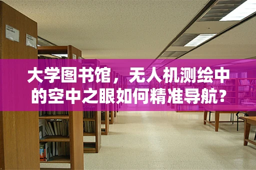 大学图书馆，无人机测绘中的空中之眼如何精准导航？