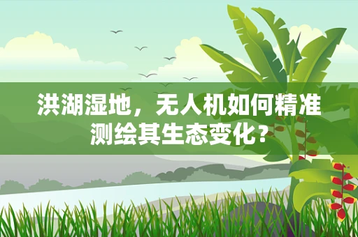 洪湖湿地，无人机如何精准测绘其生态变化？