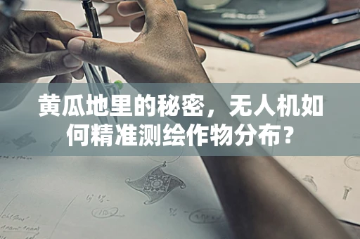 黄瓜地里的秘密，无人机如何精准测绘作物分布？
