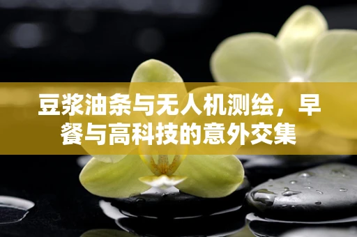 豆浆油条与无人机测绘，早餐与高科技的意外交集