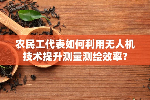 农民工代表如何利用无人机技术提升测量测绘效率？