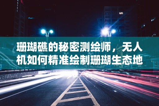 珊瑚礁的秘密测绘师，无人机如何精准绘制珊瑚生态地图？