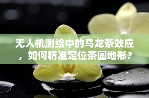 无人机测绘中的乌龙茶效应，如何精准定位茶园地形？