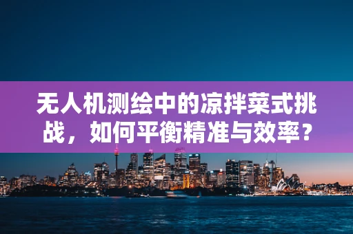 无人机测绘中的凉拌菜式挑战，如何平衡精准与效率？