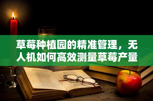 草莓种植园的精准管理，无人机如何高效测量草莓产量？