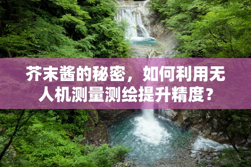 芥末酱的秘密，如何利用无人机测量测绘提升精度？