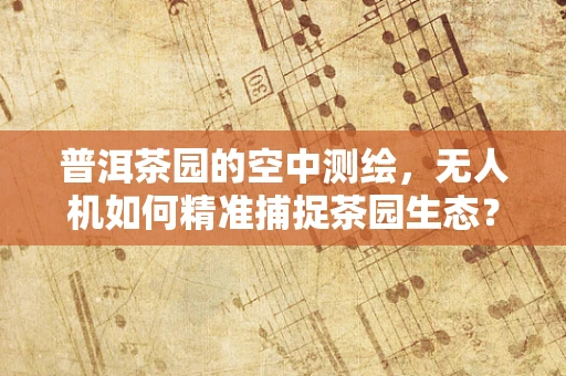 普洱茶园的空中测绘，无人机如何精准捕捉茶园生态？