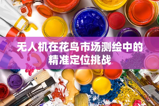 无人机在花鸟市场测绘中的精准定位挑战