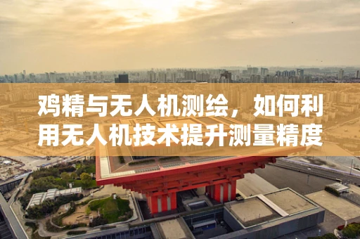 鸡精与无人机测绘，如何利用无人机技术提升测量精度？
