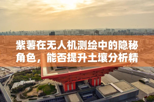 紫薯在无人机测绘中的隐秘角色，能否提升土壤分析精度？