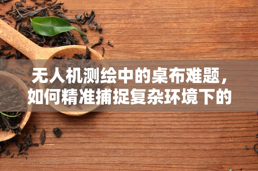 无人机测绘中的桌布难题，如何精准捕捉复杂环境下的微小细节？