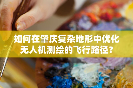 如何在肇庆复杂地形中优化无人机测绘的飞行路径？