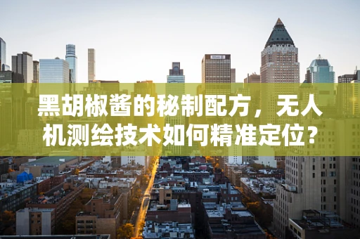 黑胡椒酱的秘制配方，无人机测绘技术如何精准定位？