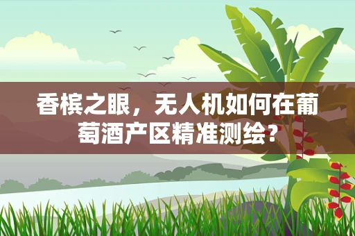 香槟之眼，无人机如何在葡萄酒产区精准测绘？