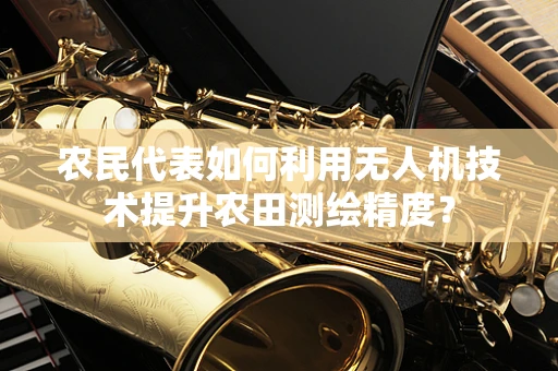 农民代表如何利用无人机技术提升农田测绘精度？