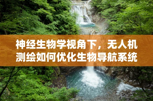 神经生物学视角下，无人机测绘如何优化生物导航系统的模拟？