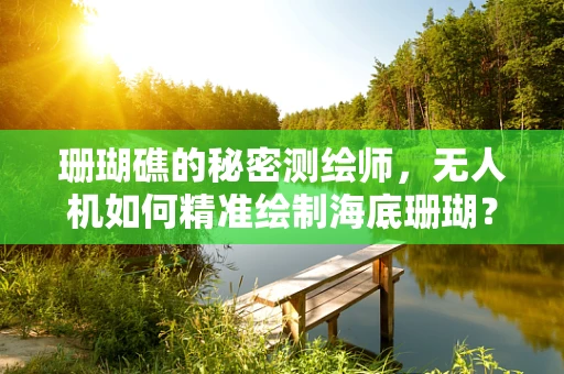 珊瑚礁的秘密测绘师，无人机如何精准绘制海底珊瑚？