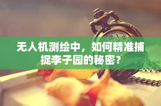 无人机测绘中，如何精准捕捉李子园的秘密？