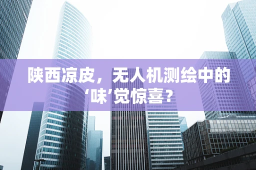 陕西凉皮，无人机测绘中的‘味’觉惊喜？