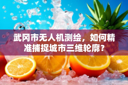 武冈市无人机测绘，如何精准捕捉城市三维轮廓？