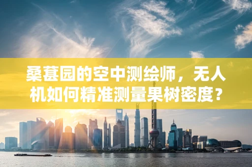 桑葚园的空中测绘师，无人机如何精准测量果树密度？