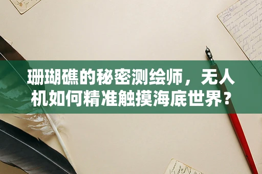珊瑚礁的秘密测绘师，无人机如何精准触摸海底世界？