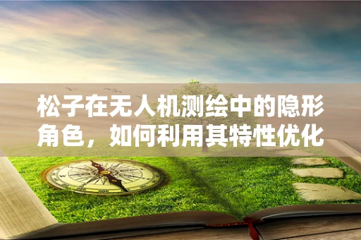 松子在无人机测绘中的隐形角色，如何利用其特性优化飞行路径？
