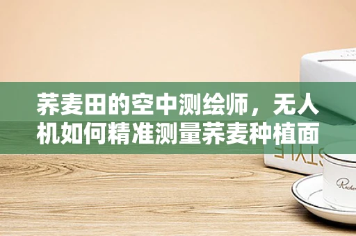荞麦田的空中测绘师，无人机如何精准测量荞麦种植面积？