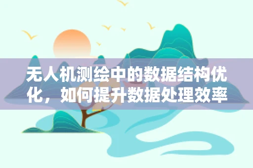无人机测绘中的数据结构优化，如何提升数据处理效率？