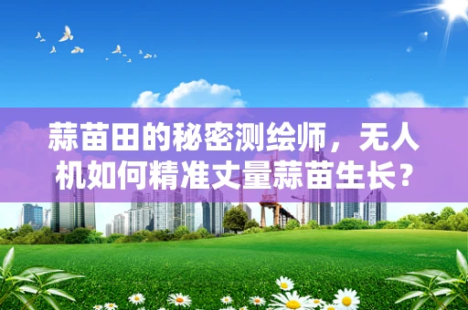 蒜苗田的秘密测绘师，无人机如何精准丈量蒜苗生长？
