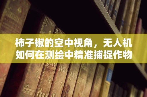 柿子椒的空中视角，无人机如何在测绘中精准捕捉作物细节？