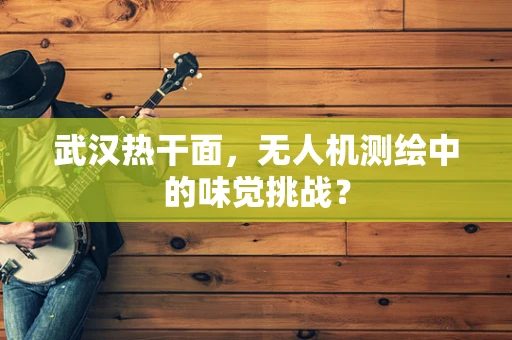 武汉热干面，无人机测绘中的味觉挑战？
