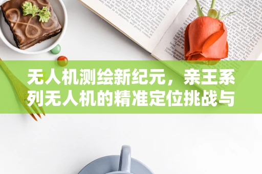 无人机测绘新纪元，亲王系列无人机的精准定位挑战与解决方案
