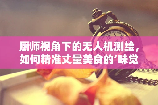 厨师视角下的无人机测绘，如何精准丈量美食的‘味觉地图’？