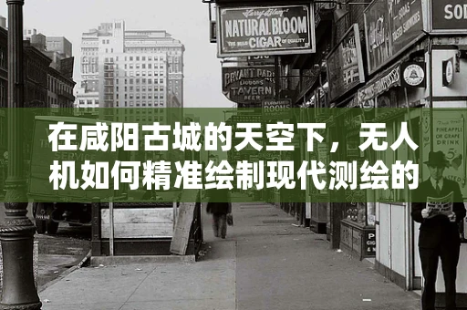 在咸阳古城的天空下，无人机如何精准绘制现代测绘的工笔画？