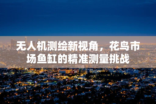 无人机测绘新视角，花鸟市场鱼缸的精准测量挑战