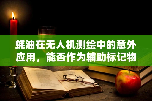 蚝油在无人机测绘中的意外应用，能否作为辅助标记物？
