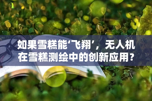 如果雪糕能‘飞翔’，无人机在雪糕测绘中的创新应用？