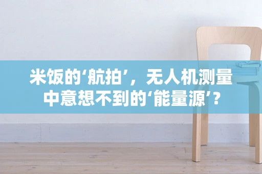 米饭的‘航拍’，无人机测量中意想不到的‘能量源’？