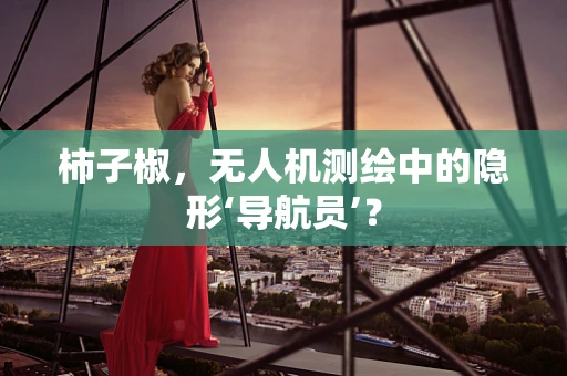 柿子椒，无人机测绘中的隐形‘导航员’？