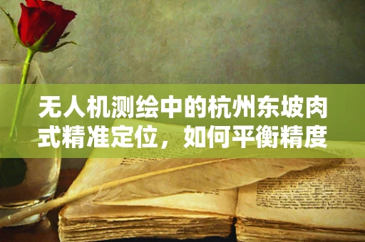 无人机测绘中的杭州东坡肉式精准定位，如何平衡精度与风味？