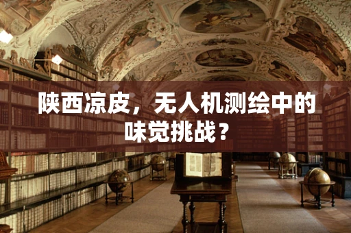 陕西凉皮，无人机测绘中的味觉挑战？