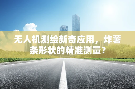 无人机测绘新奇应用，炸薯条形状的精准测量？