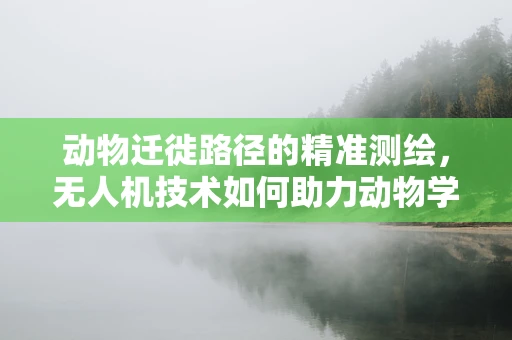 动物迁徙路径的精准测绘，无人机技术如何助力动物学研究？