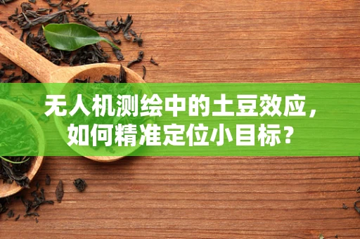 无人机测绘中的土豆效应，如何精准定位小目标？